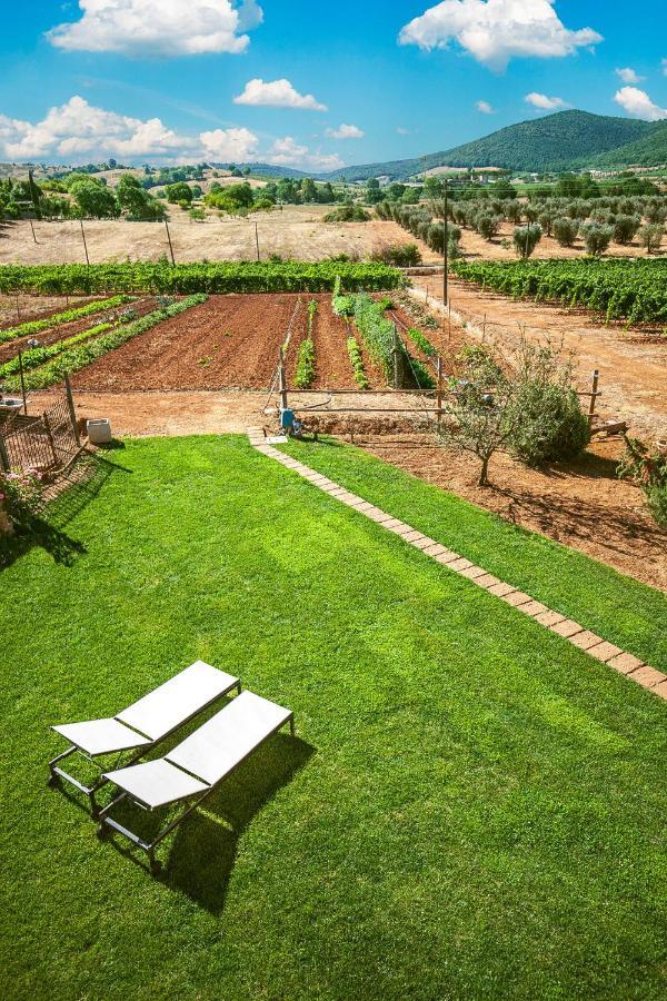 Poggiolivi Bio In Maremma Landhuis Alberese